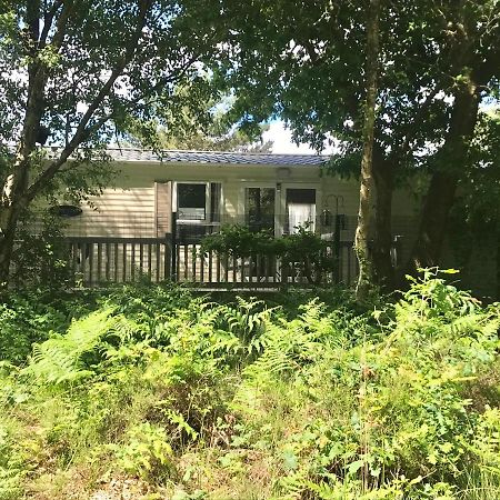 Forest View At Oakdene Forest Park - Leisure Passes Included! Ringwood Exterior photo