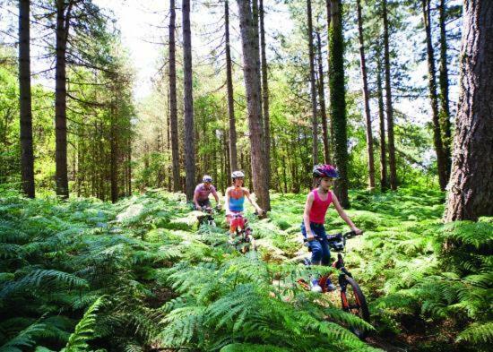 Forest View At Oakdene Forest Park - Leisure Passes Included! Ringwood Exterior photo